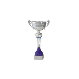 Copa BLAS 5