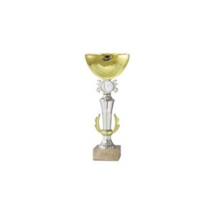 Copa BLAS 7