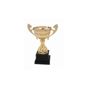 Copa 2094