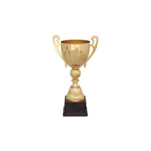Copa 201