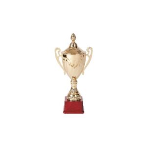 Copa 3007