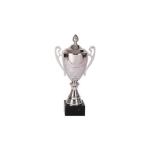 Copa 3012