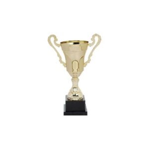 Copa CY 2025