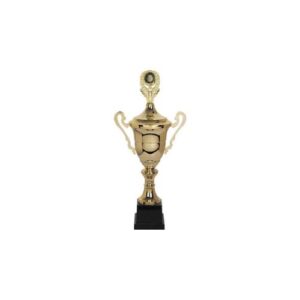 Copa CY 301