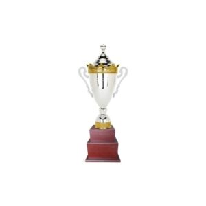 Copa H200